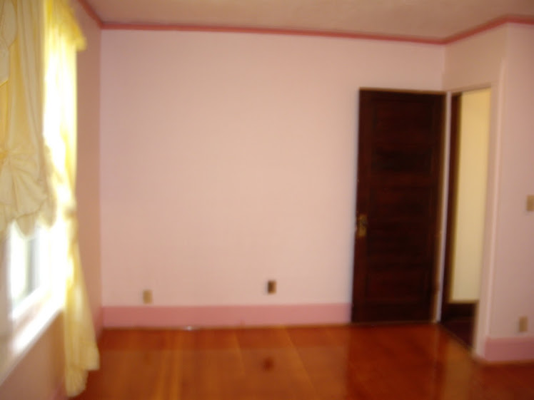 blurry pic of a pepto pink bedroom