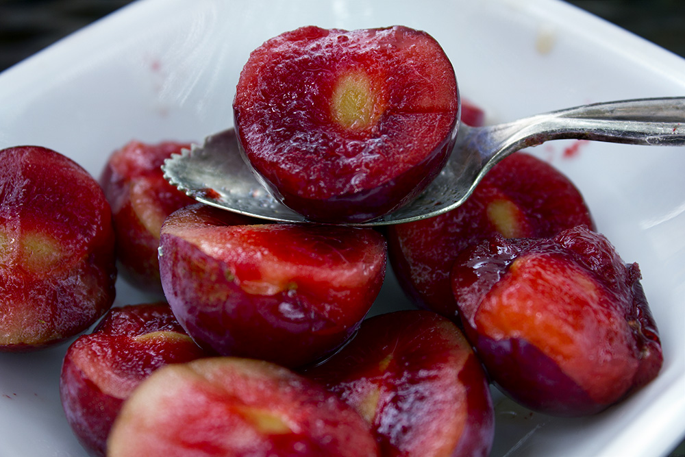 Rurification Robin Edmundson Plum Bounty
