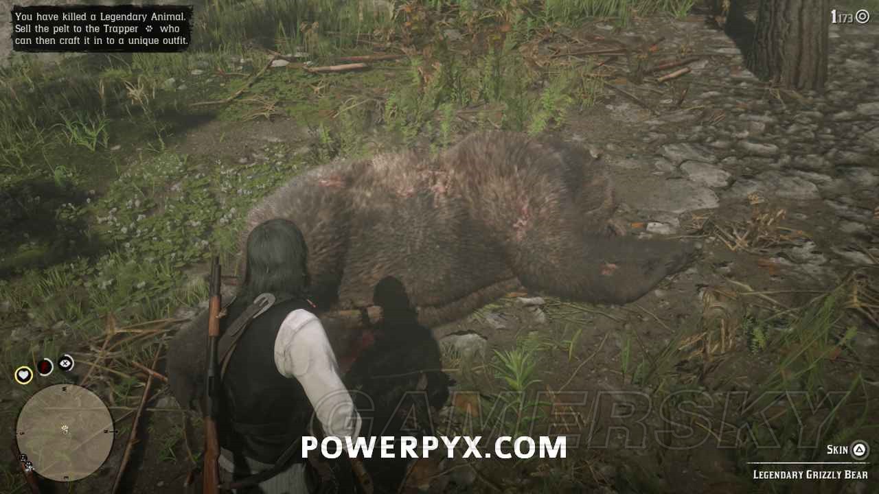 Legendary animal. Легендарный медведь rdr 2 карта. Red Dead Redemption 2 легендарные животные.