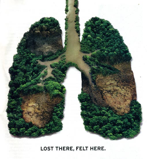 la amazonia La Amazonía El Pulmón