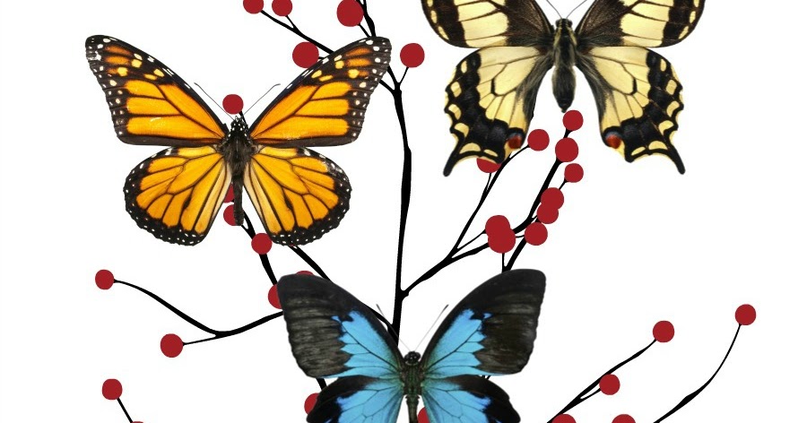 Food, Decor, Kids: Butterfly Home Decor