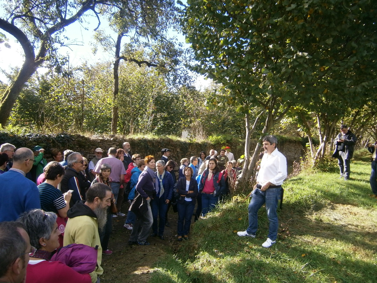 amurriodenuncianuncia Luiaondo y Bizkaia el árbol Malato