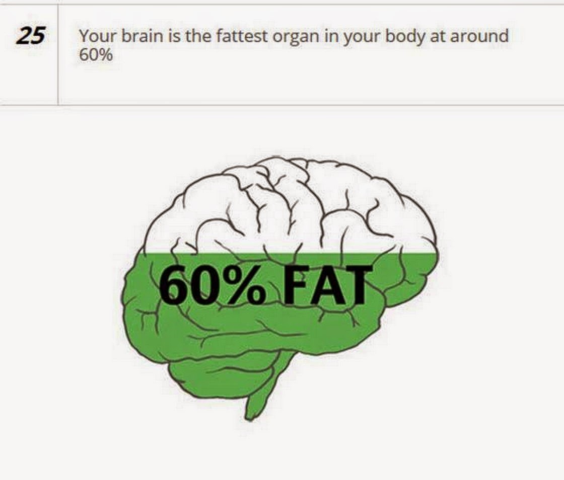 He is a brain. С 25% мозга. Brain is fat. Blow your Brain.