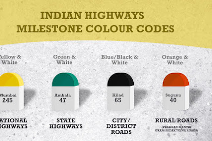 What indicates the milestone colour representation in India