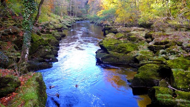 Bolton Strid, Beautiful River Can 'Human Swallow' | Daily Unique
