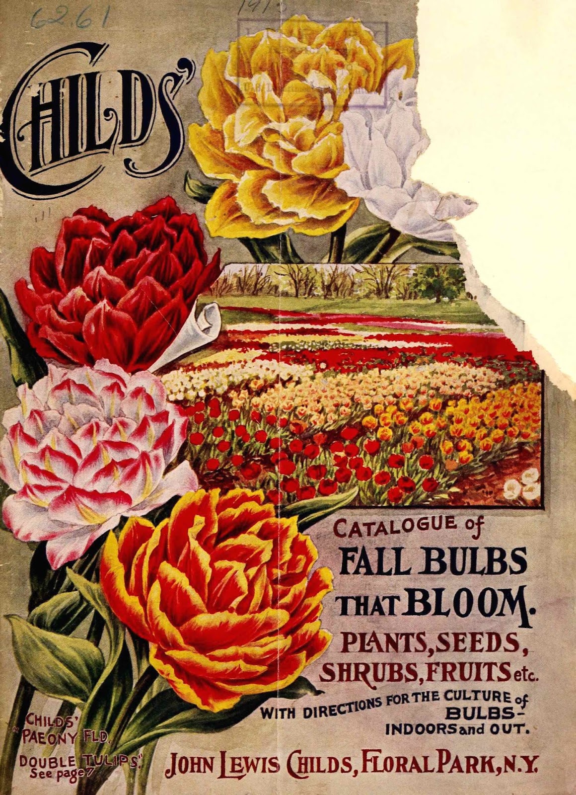 Tenth Letter of the Alphabet Lettering John Lewis Childs’ Catalogues