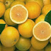 Υγεία: Ο μύθος του πορτοκαλιού για τις ιώσεις