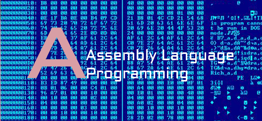 Sub ассемблер. Assembly программа. Приложение для сбора референсов. Hello world на ассемблере x86. Код на ассемблере.