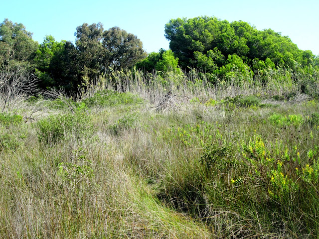 Hasta la vista, Gianni...