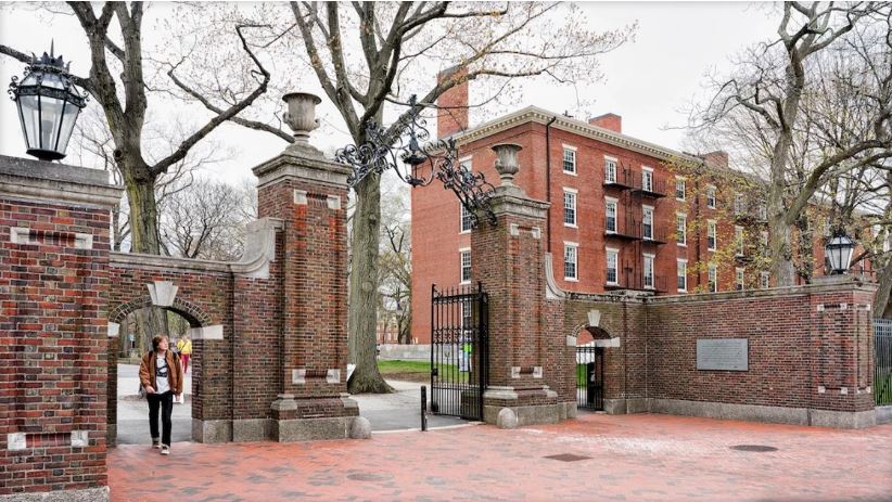 Harvard University Committee Proposes Ban On All