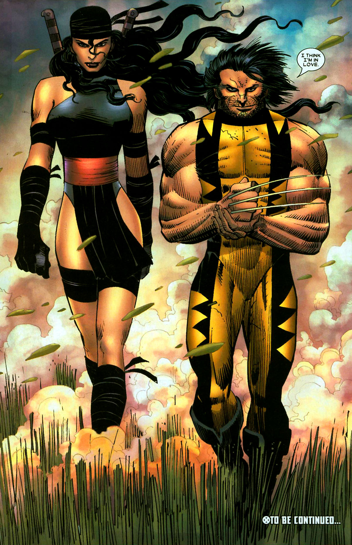 Wolverine (2003) Issue #29 #31 - English 22