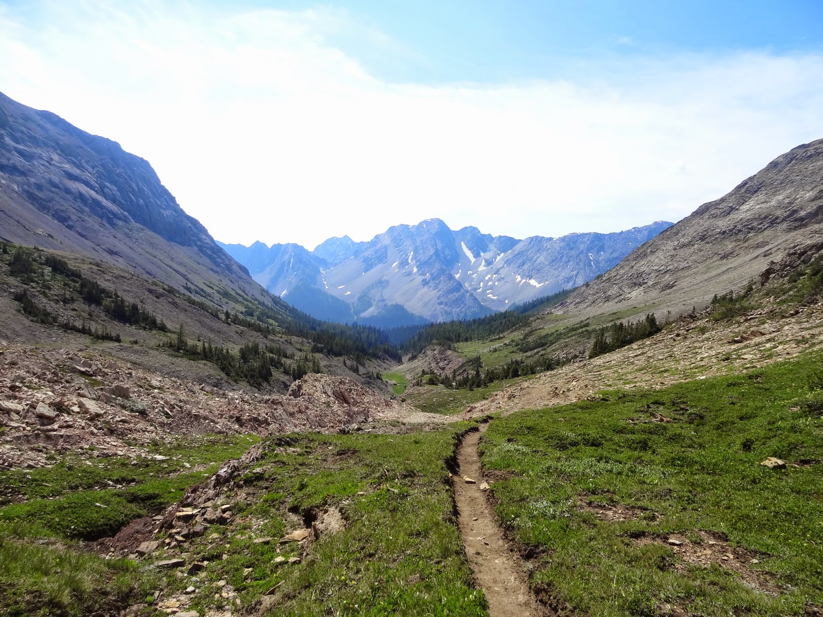 Alison Sekera's Blog