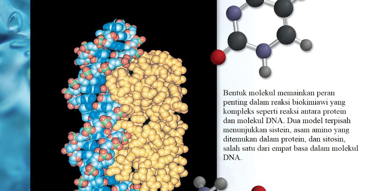 10. Ikatan Kimia II: Geometri Molekul dan Hibridisasi Orbital Atom ~ KIMIA