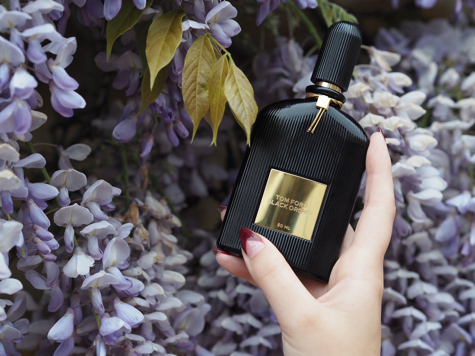 Tom ford orchid мужские. Tom Ford Black Orchid 30ml. Tom Ford Perfume Black Orchid. Tom Ford Signature. Tom Ford Black Orchid мужской.