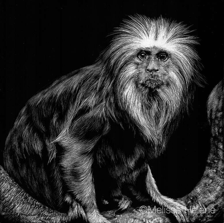 Design Stack A Blog about Art, Design and Architecture Amazing