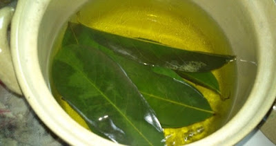 obat herbal asam urat 