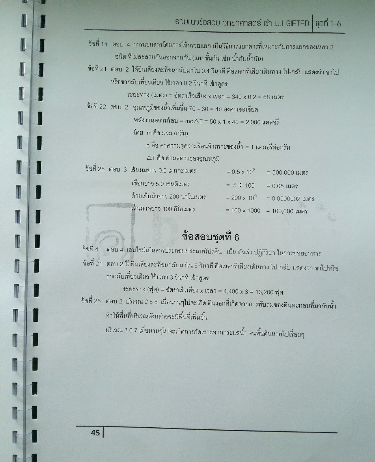 My Image 38