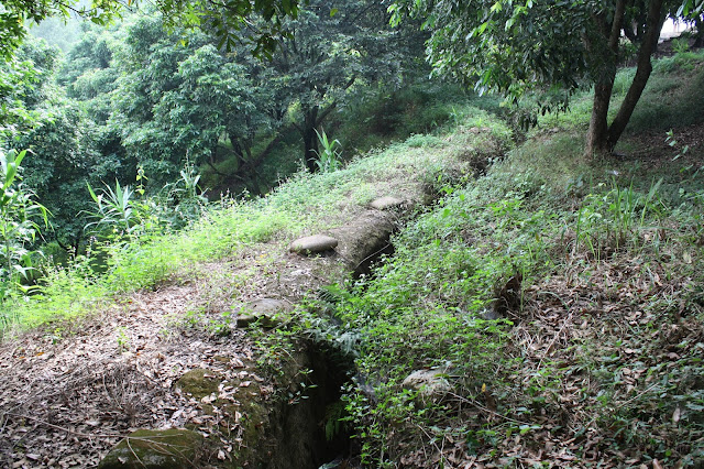 Retour à Diên Biên Phu, les collines des combats IMG_0853