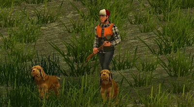 PC Games Untamed Life Of A Cougar