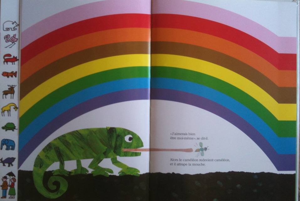 Le caméléon méli-mélo