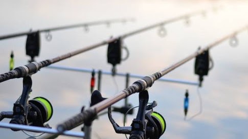 99 Arti Mimpi Mancing Dapat Ikan Lele 2 Ekor Menurut Primbon, Islam, Hindu  Dan Kristen - Nomor Mimpi Mancing