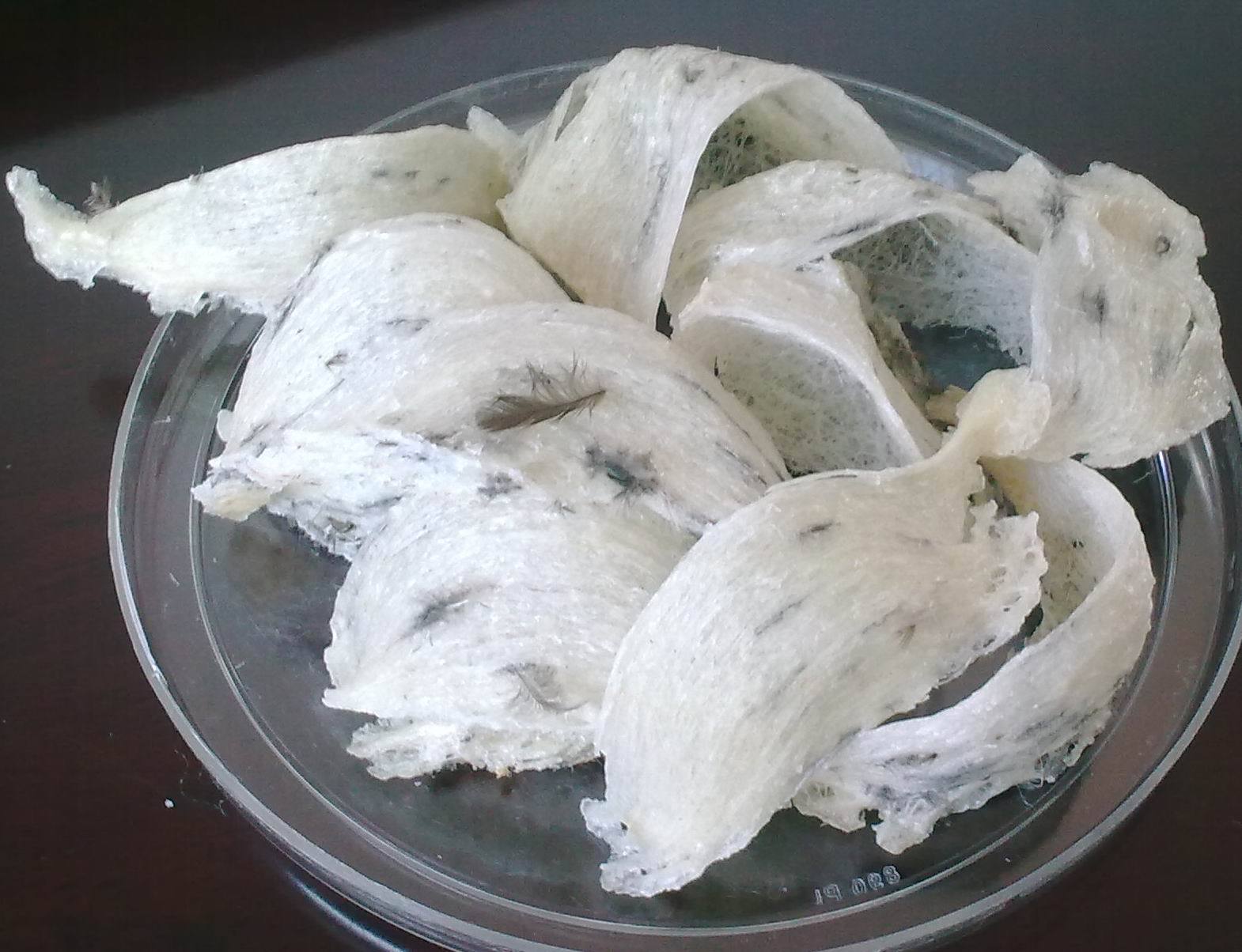 Buy Edible Bird's Nest Introduction to Edible Bird’s Nest