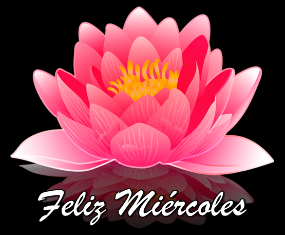 Resultado de imagen de feliz miercoles