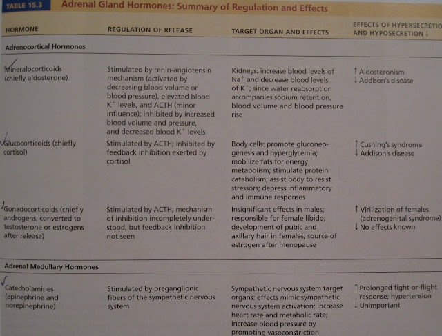 Anatomy and Physiology 2 Eportfolio: The Endocrine System & It's Hormones