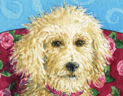 Avoir Images Everyday Artist Meet Maggie The Goldendoodle dernière par