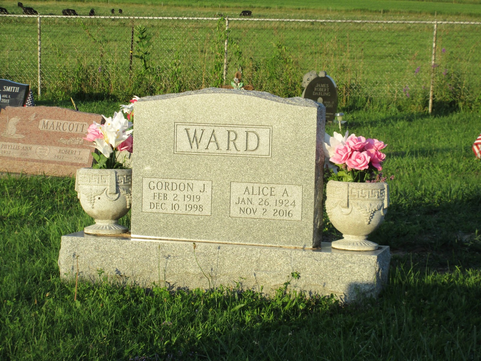 Remling Genealogy Saturday Challenge Unbroken Chain of Gravestones