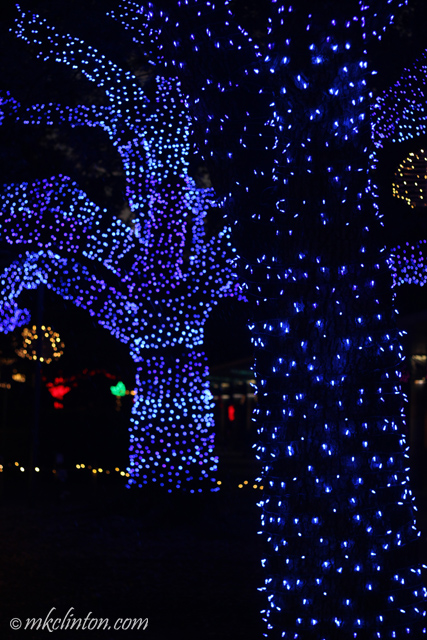 Blue Christmas lights on tree