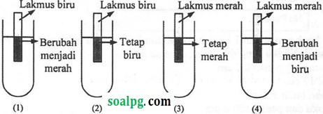 soal unbk smp ipa 2017 pdf