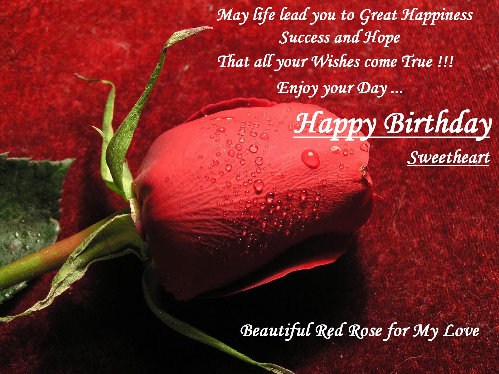 Romantic Happy Birthday Wishes for Wife with and Quotes