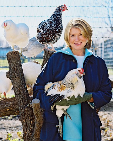 Chicken Women: Celebrity Chicks with Chicks