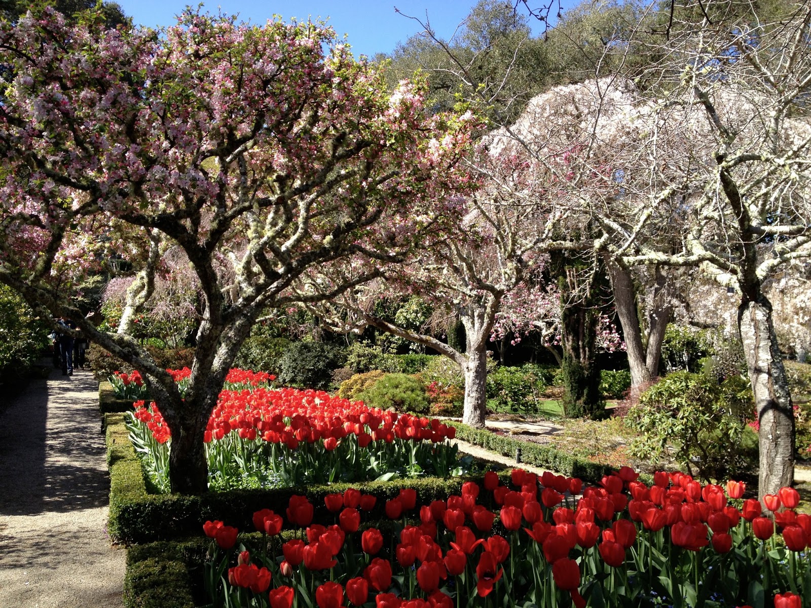 ZRH2SFO: Springtime At Filoli
