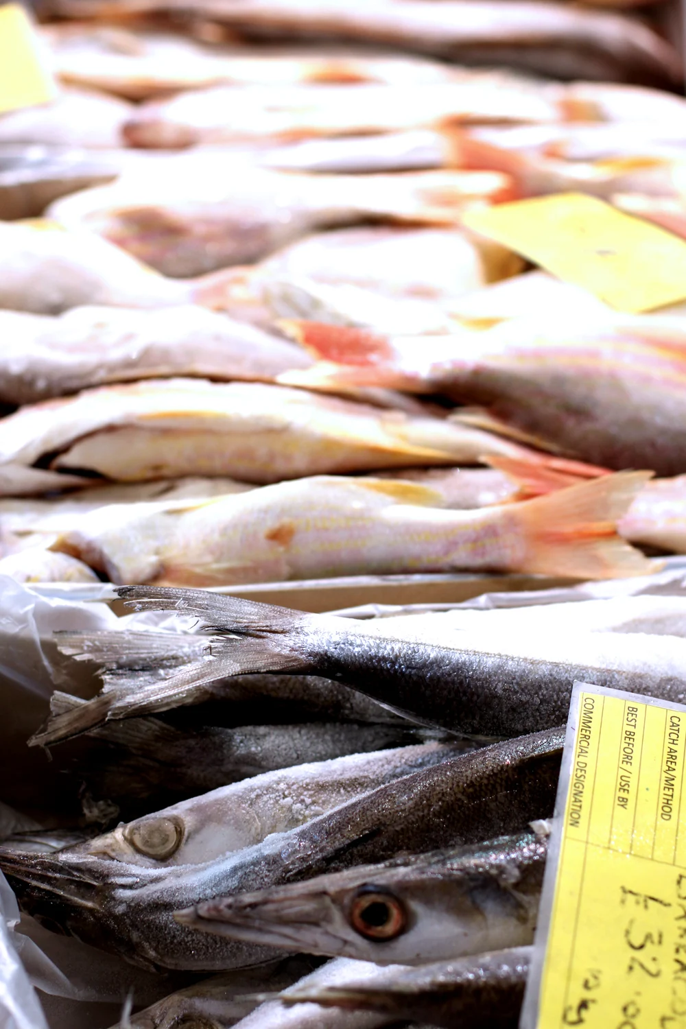 Fresh fish at Billingsgate Fish Market - London foodie blog