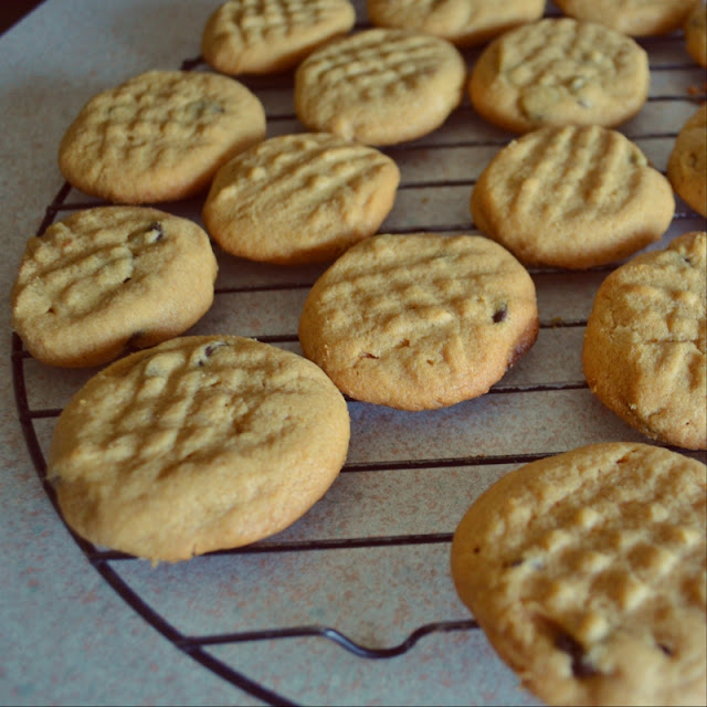 Woman in Real Life Kraft Peanut Butter Chocolate Chip Cookies in a Hurry