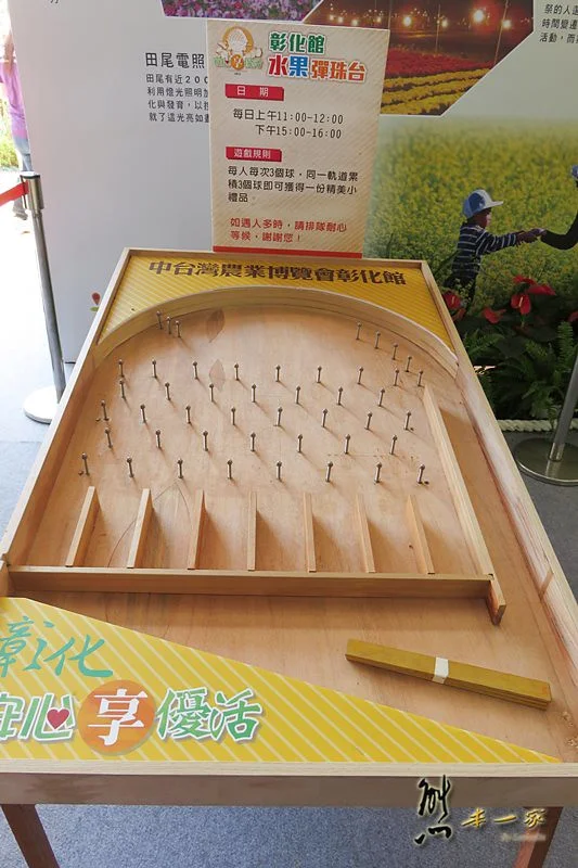 新社花海|中台灣農業博覽會