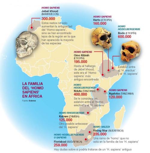 Los científicos siguen ahondando en el origen africano del 'Homo sapiens - Historia y Genealogía Hispanoamericana