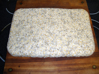 Finished Tempeh