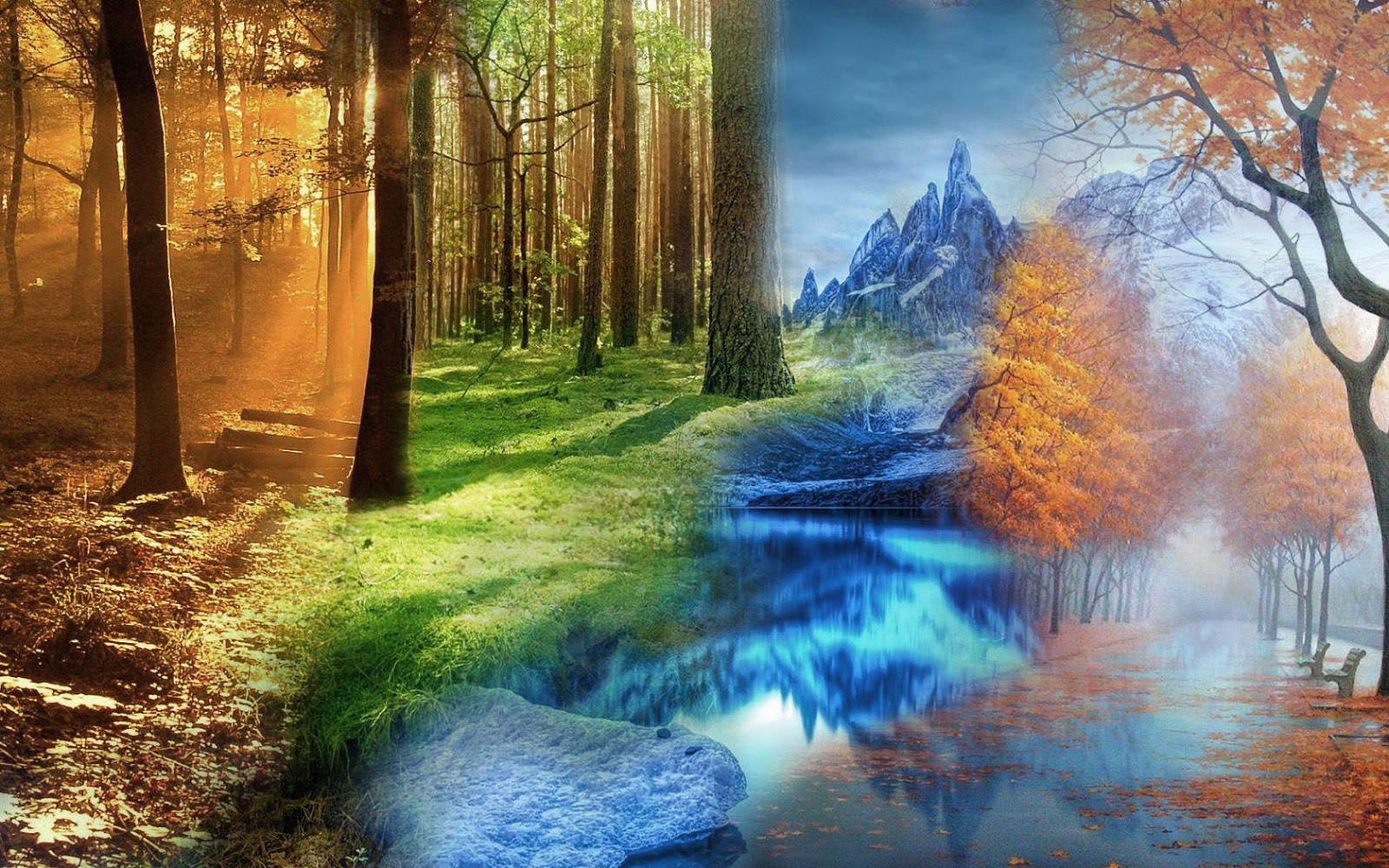 Seizoenen lente, zomer, herfst, winter | Mooie Leuke ...