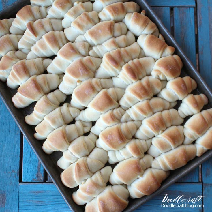 Fresh Baked Rolls from Scratch in 30 Minutes Recipe!