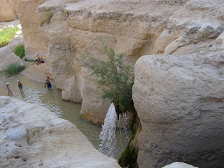 Tunisia 2003 oasy