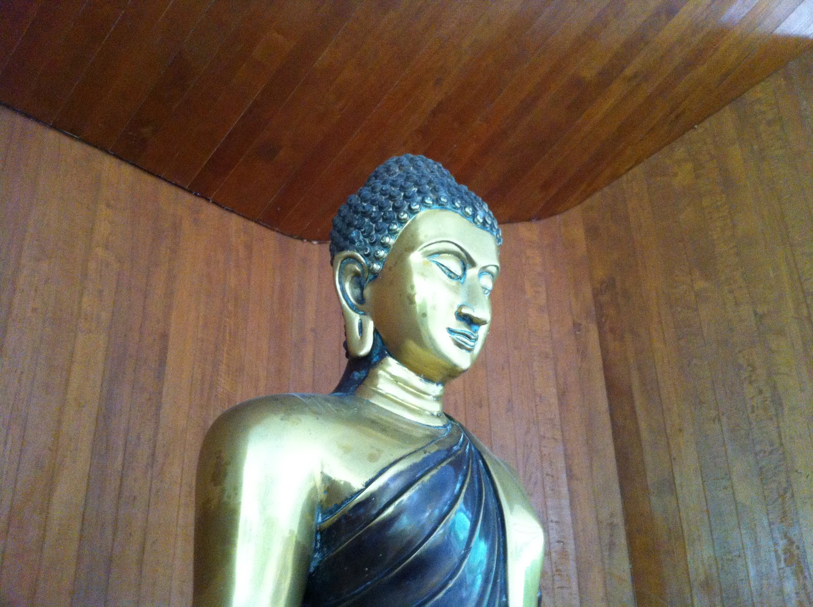 Buddha Space Buddha Ear