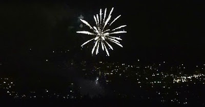 flower shaped fireworks display over city of Vancouver