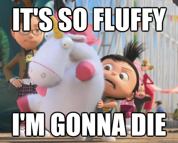 Image result for it's so fluffy i'm gonna die