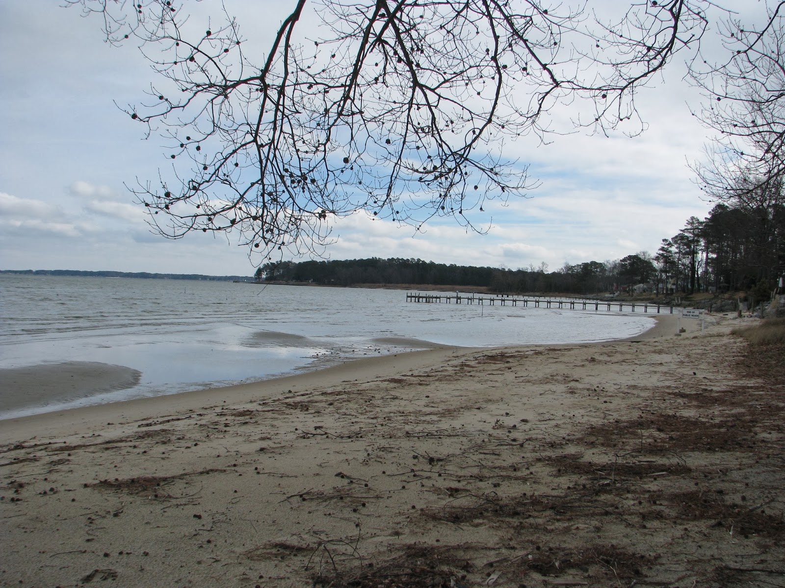 Life in Mathews Piankatank River