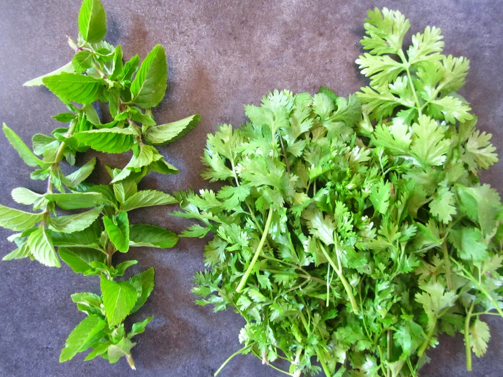 Cold Hands Warm Earth Cilantro Mint Pesto