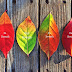 Ana Pana Sati - Back to the basics: Consciously breathe in, breathe out ...