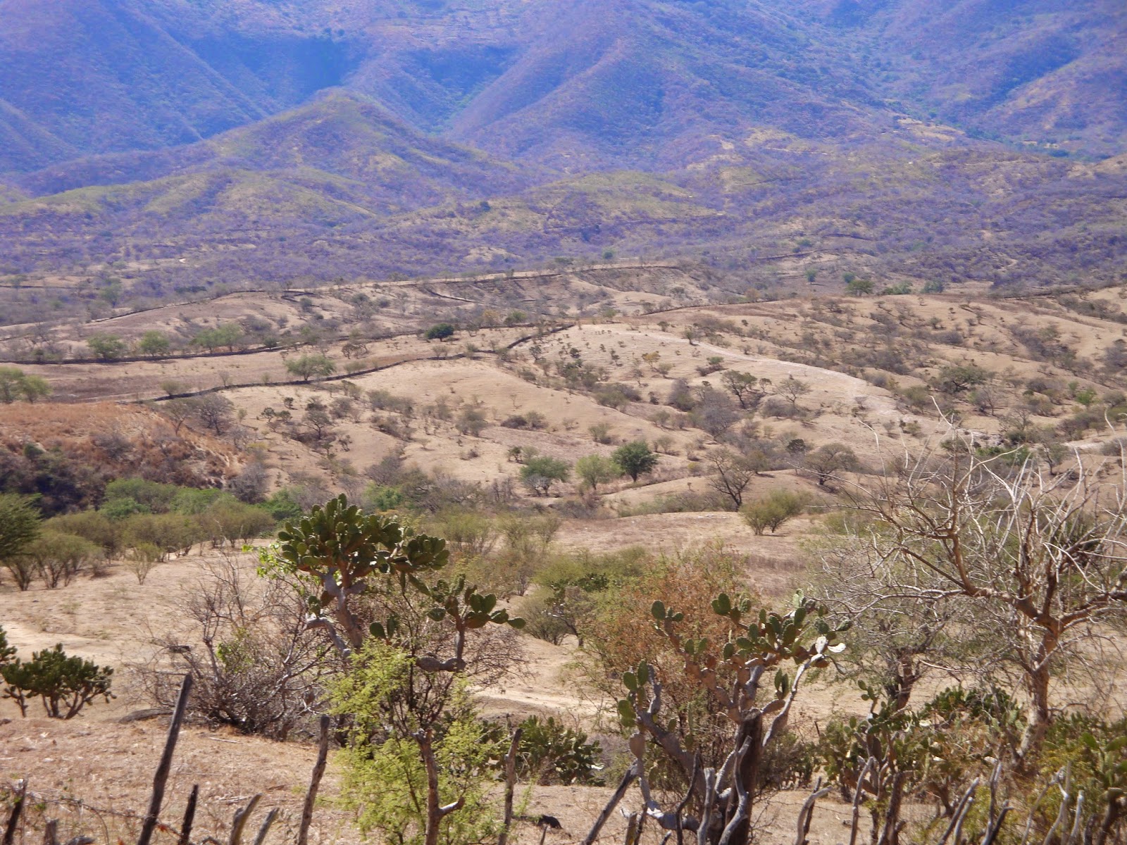 OXTOTITLAN: Paisaje de Oxtotitlán en el mes de enero